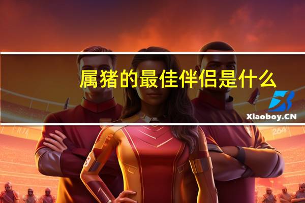 属猪的最佳伴侣是什么