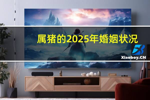 属猪的2025年婚姻状况