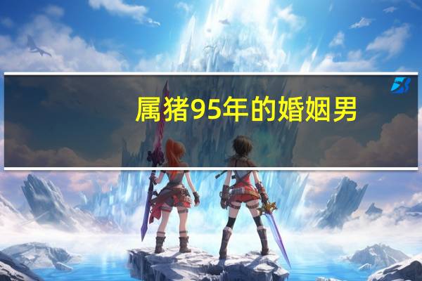 属猪95年的婚姻男