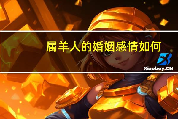 属羊人的婚姻感情如何