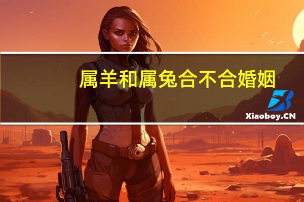 属羊和属兔合不合婚姻