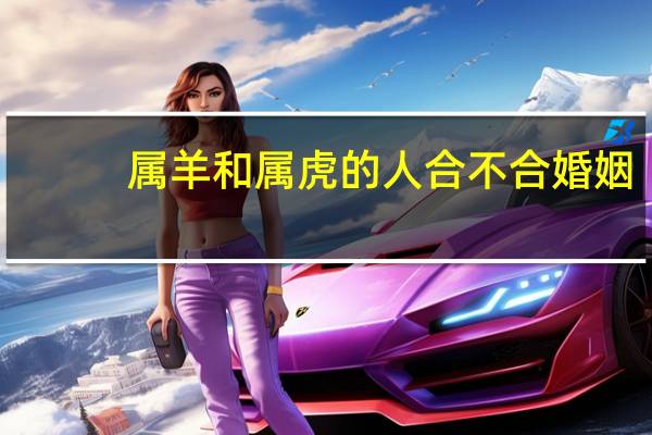 属羊和属虎的人合不合婚姻