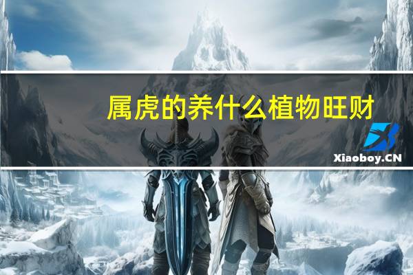 属虎的养什么植物旺财
