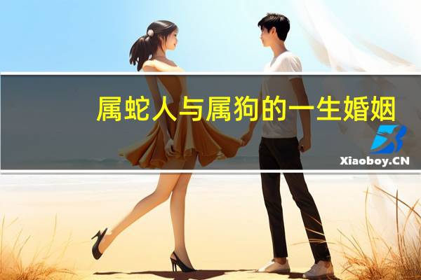 属蛇人与属狗的一生婚姻