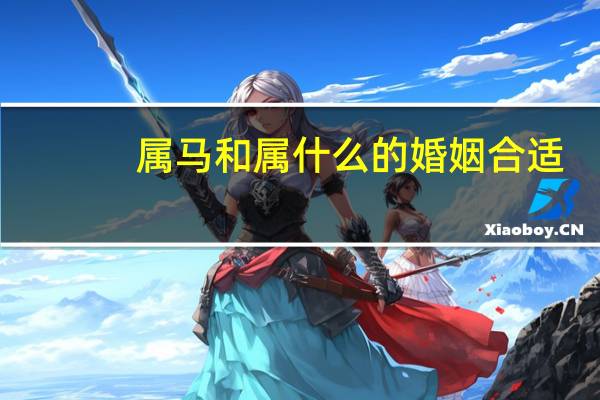 属马和属什么的婚姻合适