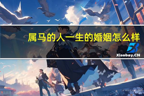 属马的人一生的婚姻怎么样