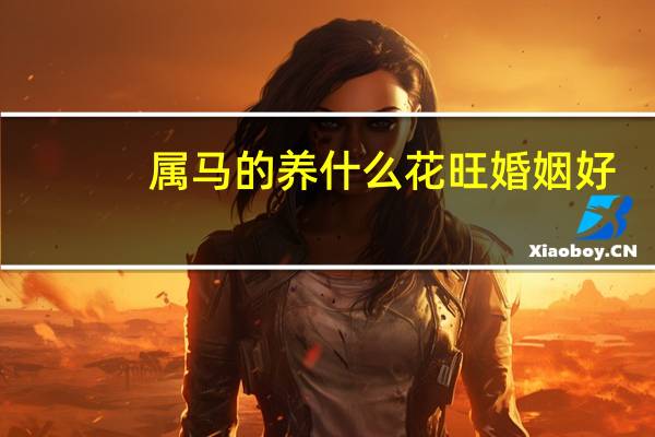 属马的养什么花旺婚姻好