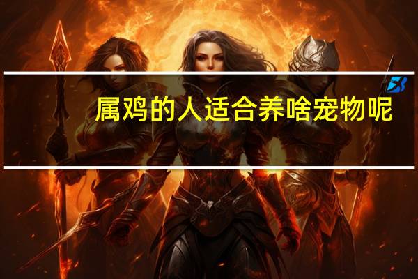 属鸡的人适合养啥宠物呢