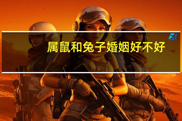 属鼠和兔子婚姻好不好