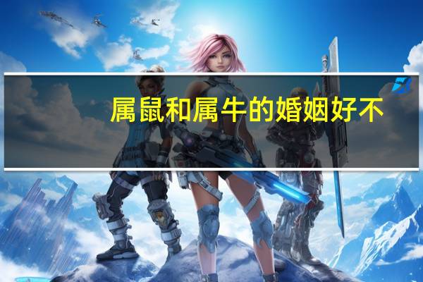 属鼠和属牛的婚姻好不
