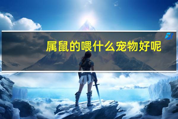属鼠的喂什么宠物好呢