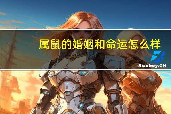属鼠的婚姻和命运怎么样