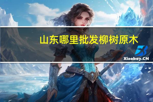 山东哪里批发柳树原木