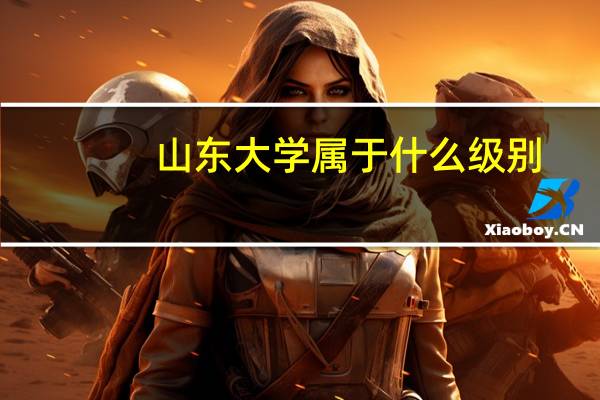 山东大学属于什么级别