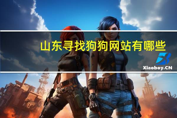 山东寻找狗狗网站有哪些