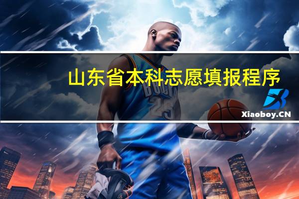 山东省本科志愿填报程序