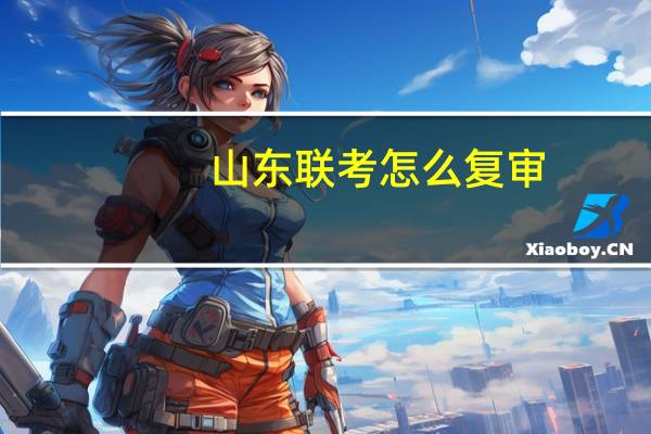 山东联考怎么复审