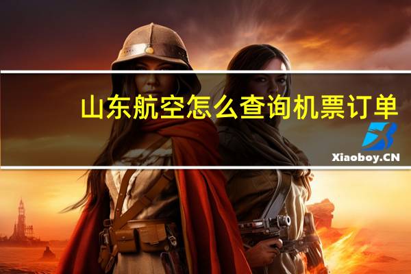 山东航空怎么查询机票订单