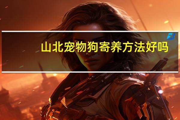 山北宠物狗寄养方法好吗