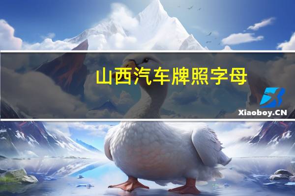 山西汽车牌照字母
