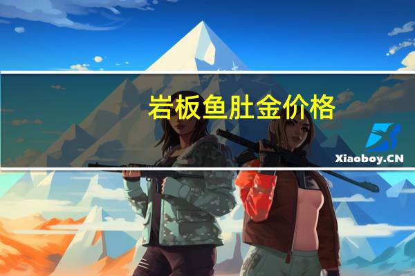 岩板鱼肚金价格