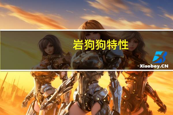 岩狗狗特性