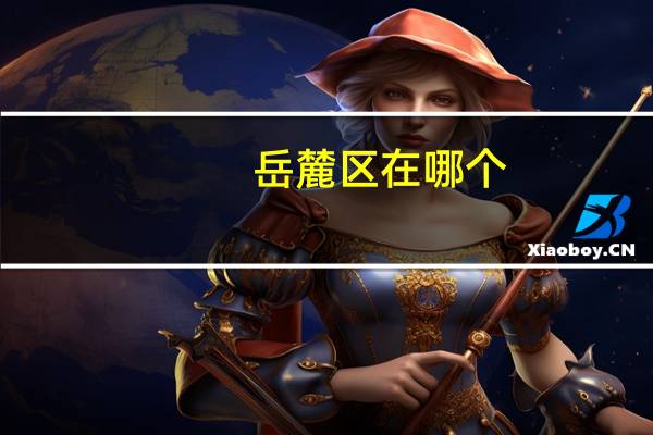 岳麓区在哪个
