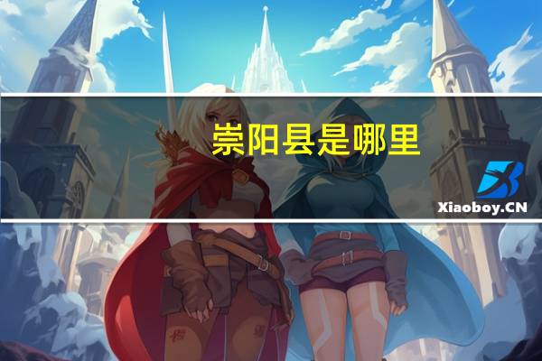 崇阳县是哪里