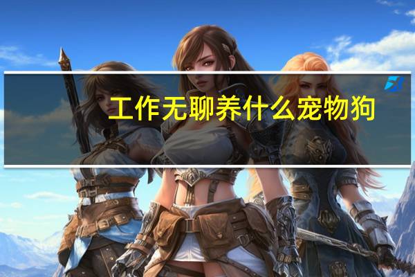 工作无聊养什么宠物狗