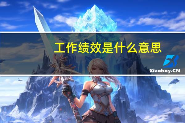 工作绩效是什么意思