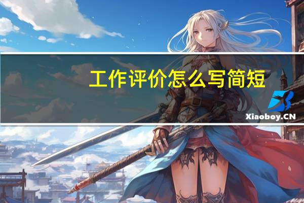 工作评价怎么写简短