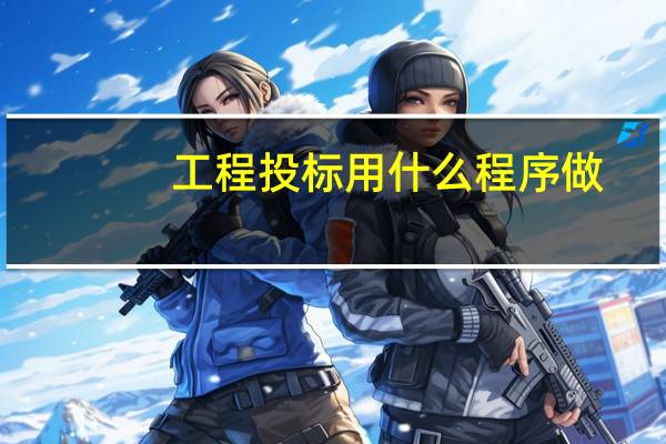 工程投标用什么程序做