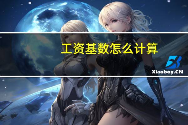工资基数怎么计算