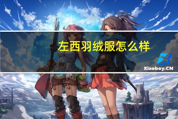 左西羽绒服怎么样