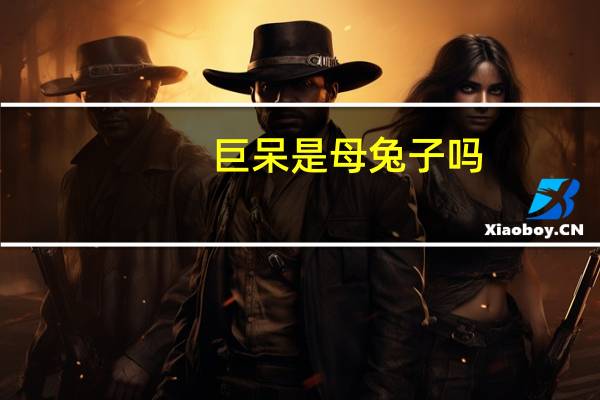 巨呆是母兔子吗