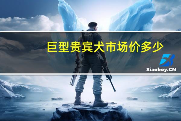 巨型贵宾犬市场价多少