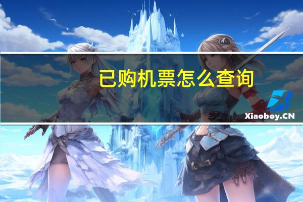 已购机票怎么查询