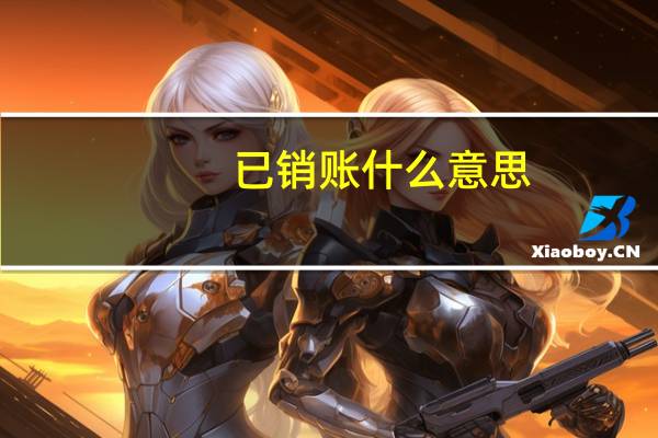 已销账什么意思