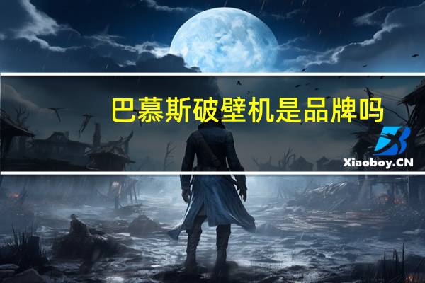 巴慕斯破壁机是品牌吗