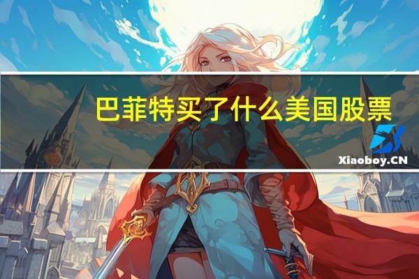 巴菲特买了什么美国股票
