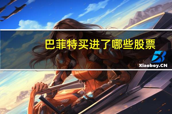 巴菲特买进了哪些股票