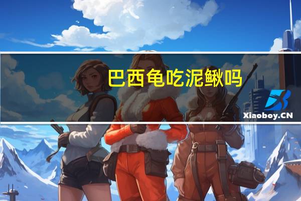 巴西龟吃泥鳅吗