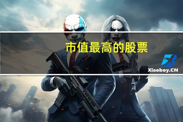 市值最高的股票