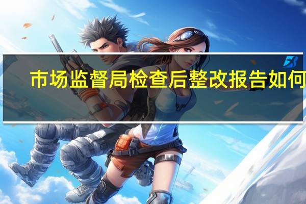 市场监督局检查后整改报告如何写