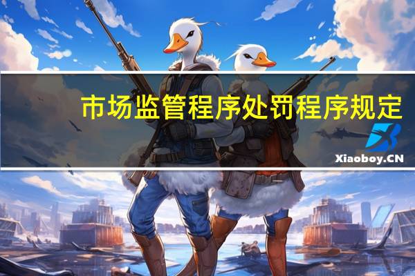 市场监管程序处罚程序规定