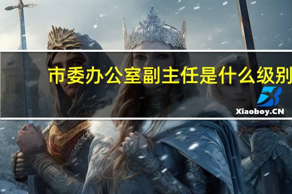 市委办公室副主任是什么级别