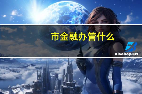 市金融办管什么