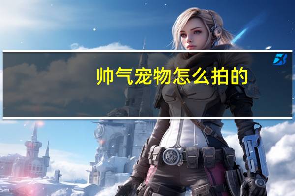 帅气宠物怎么拍的