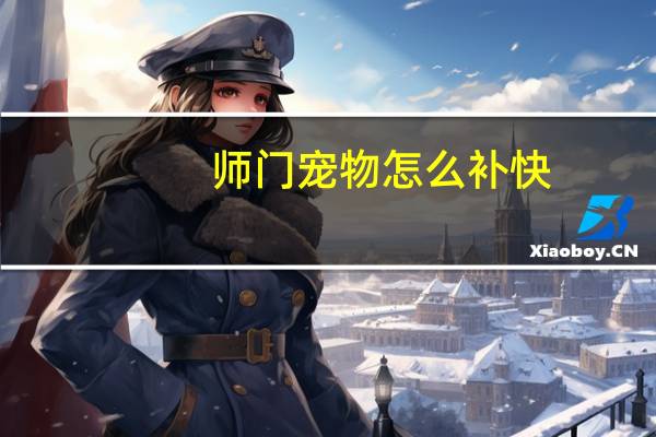 师门宠物怎么补快