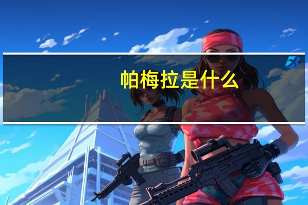 帕梅拉是什么